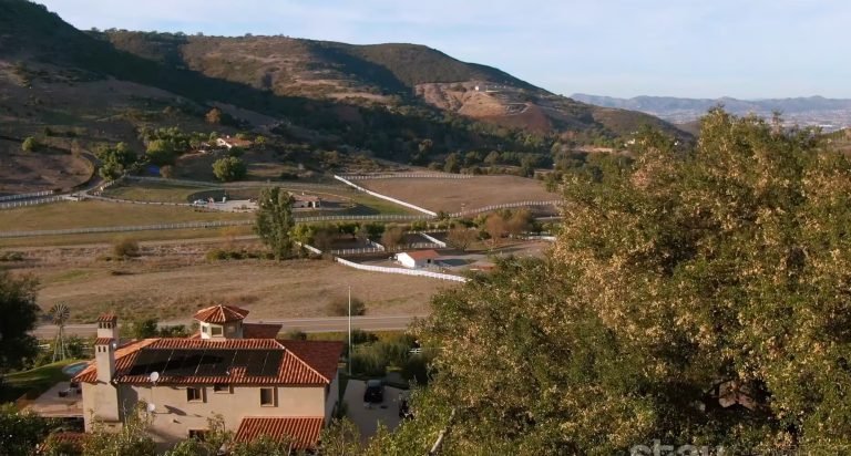 Staycation Casa de Arbol